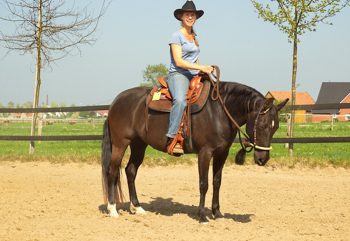 Simone auf Silvergirl mit Bosal